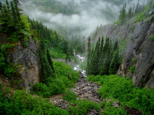 Alaska, Klondike