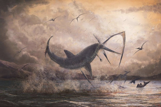 Depiction of Megalodon