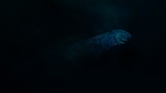 The Quandary of the Oarfish:  Doomsday Fish