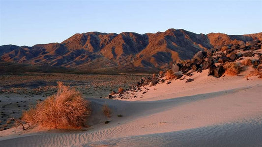 Mojave Desert