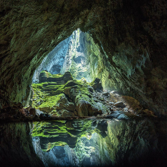 Hang Son Doong Cave inside