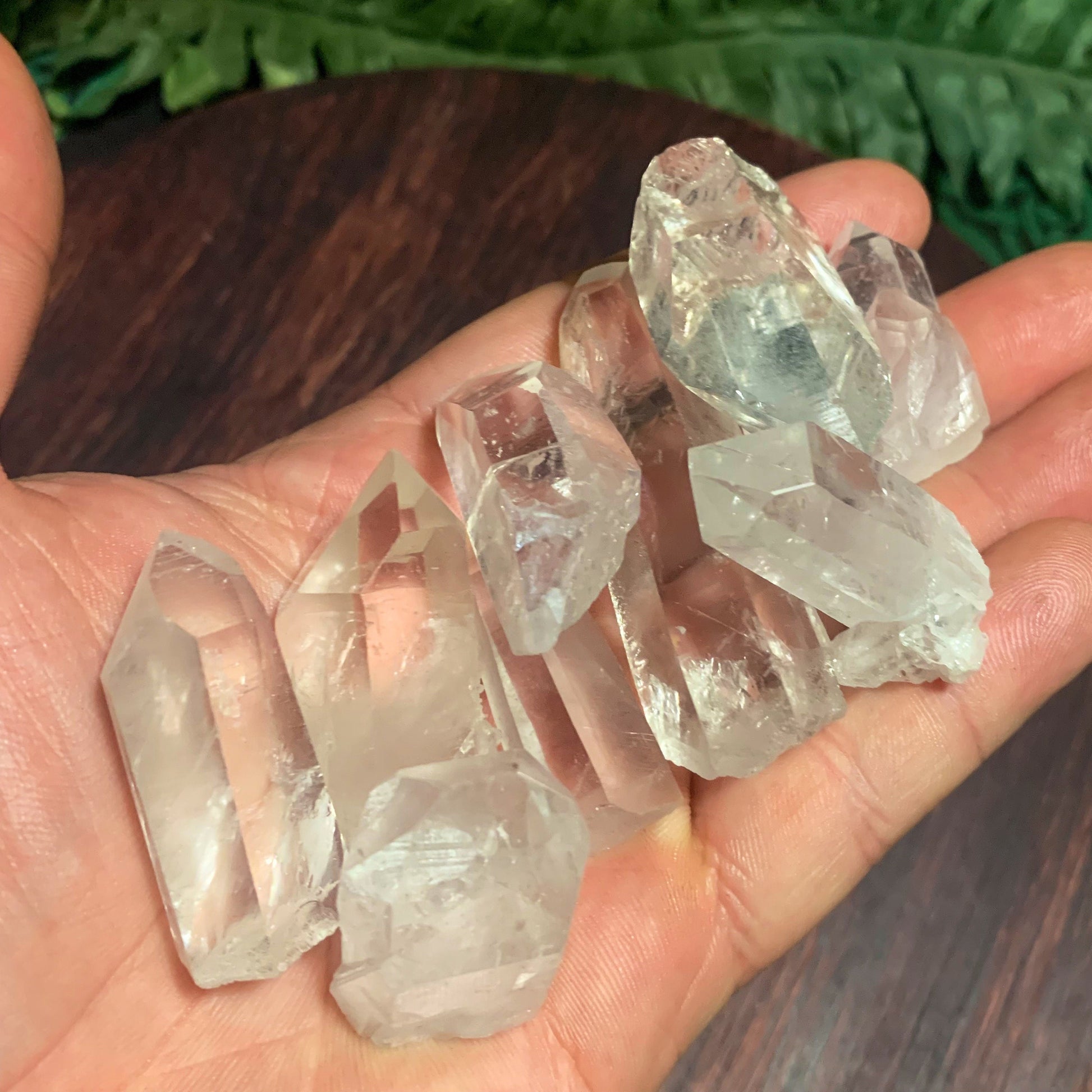 hand holding Clear Quartz crystal point