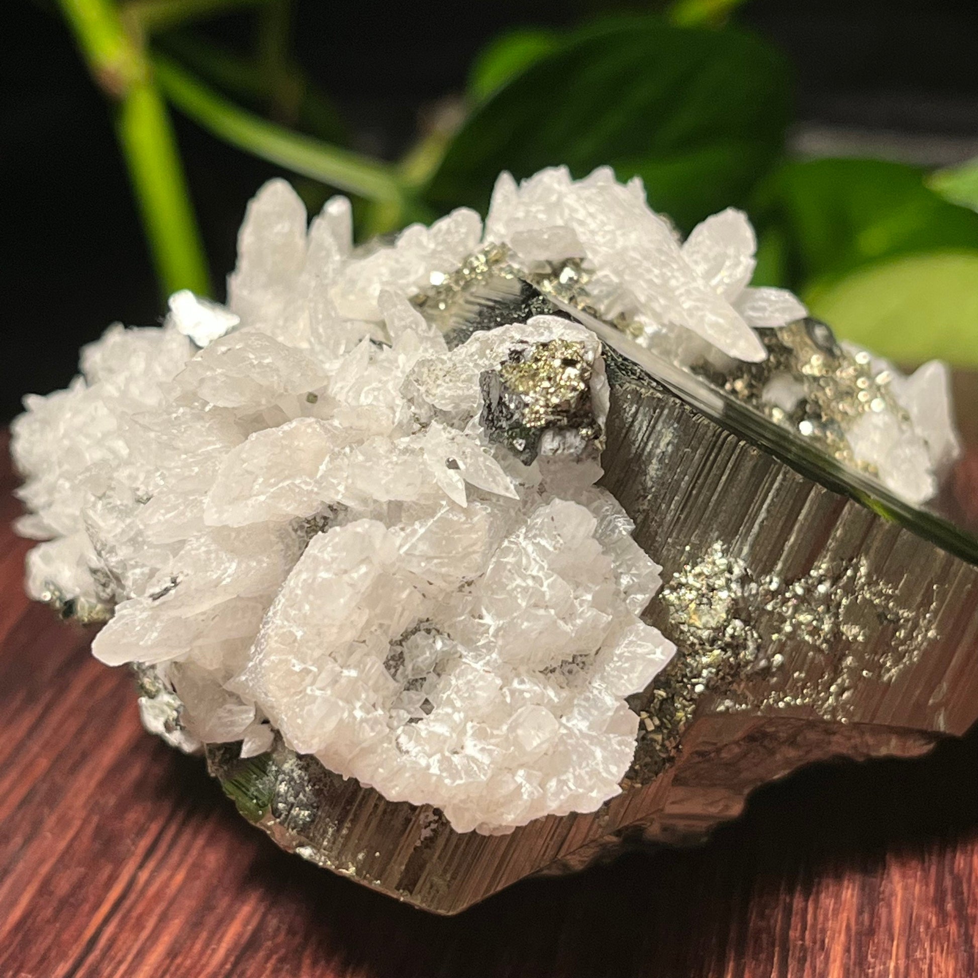 Pyrite Matrix with calcite close up back