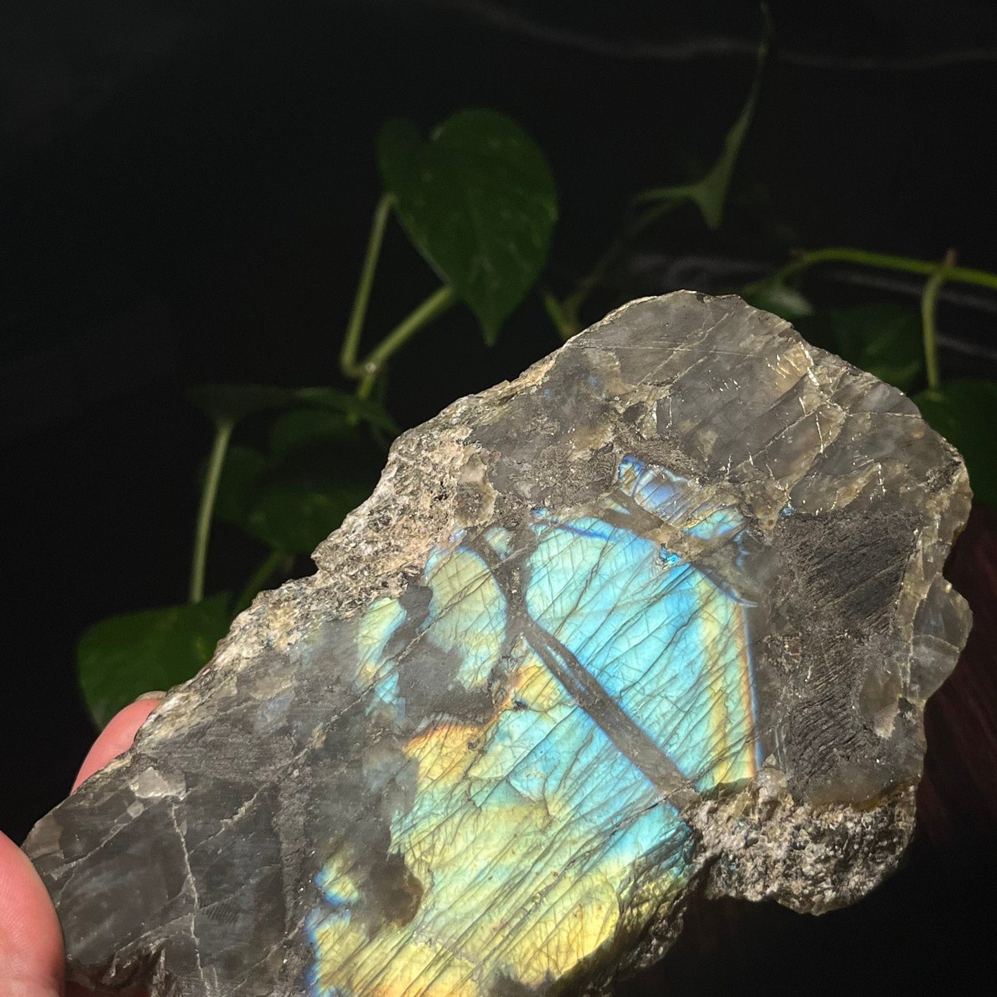 Malagasy Labradorite Close up