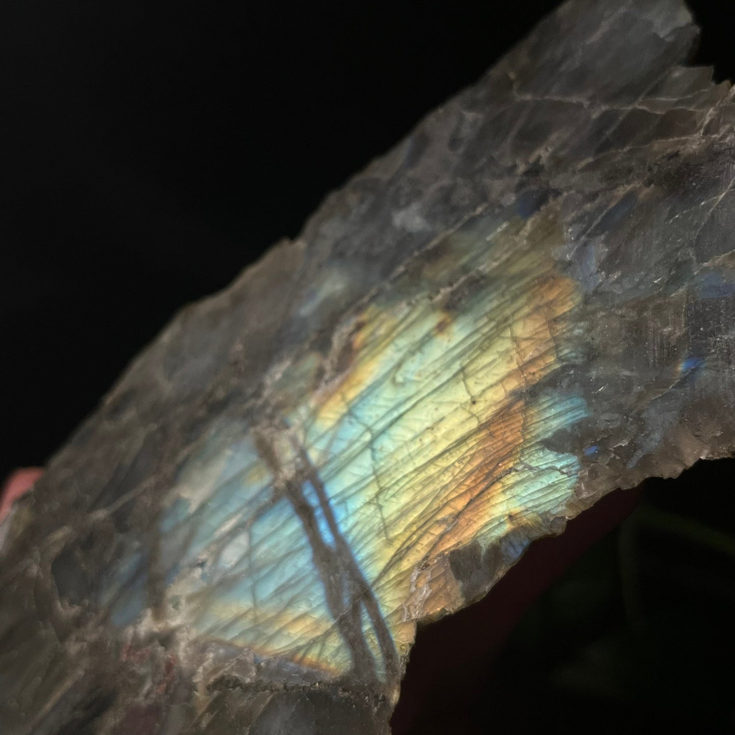 Malagasy Labradorite labradorescence